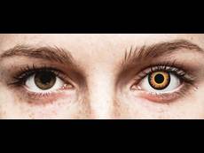 ColourVUE Crazy Lens - Orange Werewolf - Μη διοπτρικοί (2 φακοί)