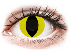 CRAZY LENS - Cat Eye Yellow - Ημερήσιοι φακοί Μη διοπτρικοί (2 φακοί)